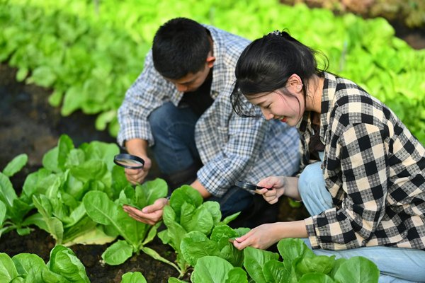 Boostez votre succès avec les led horticoles pour professionnels