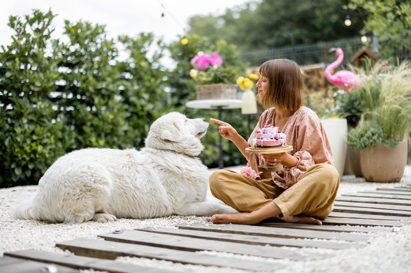 Les secrets d'un jardin luxuriant et facile à entretenir